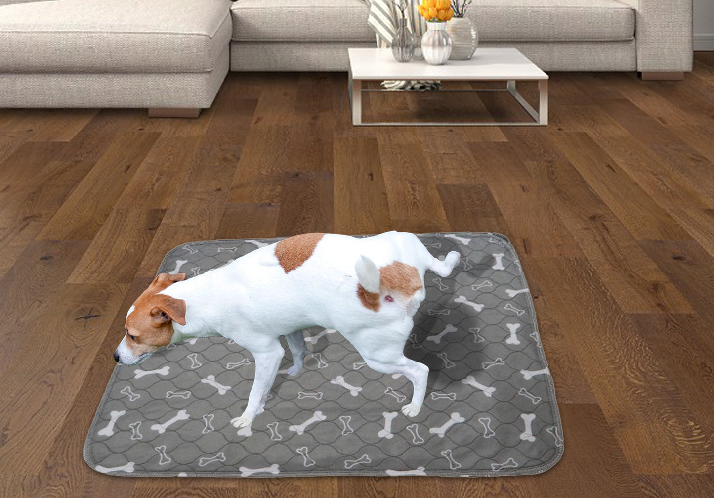 Potty Pad